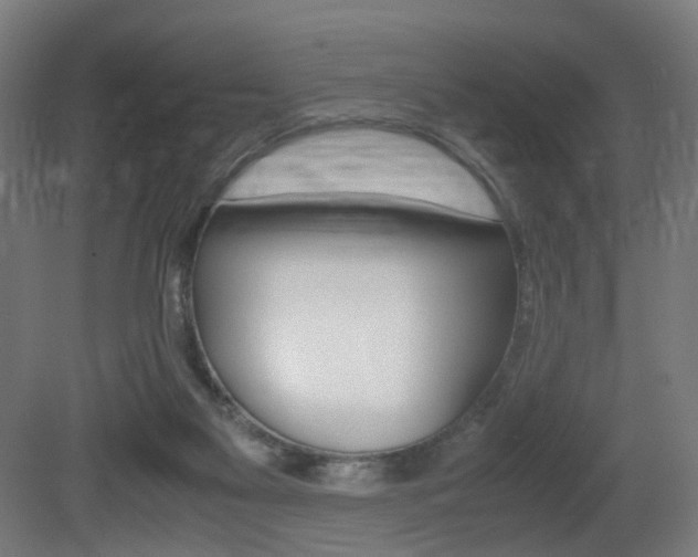 X0000081390117200701111217