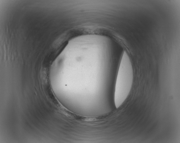 X0000081390121200701111217