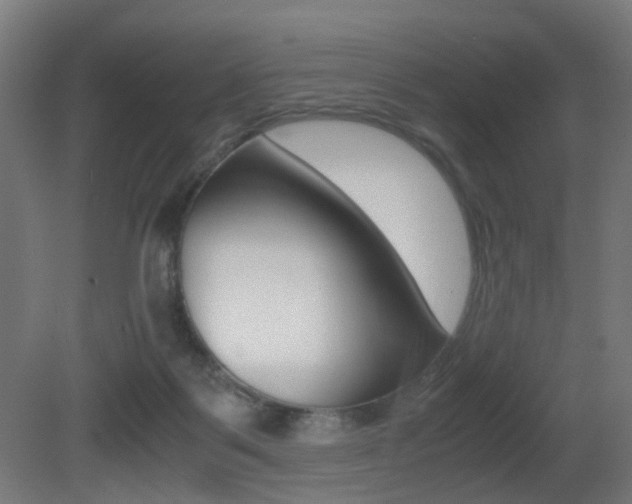 X0000081390123200701111217
