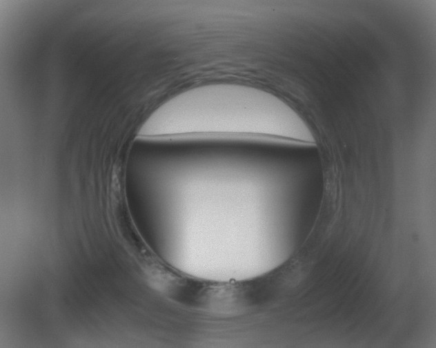 X0000081390127200701111217