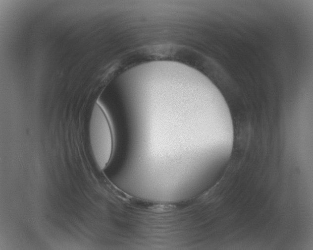 X0000081390128200701111217