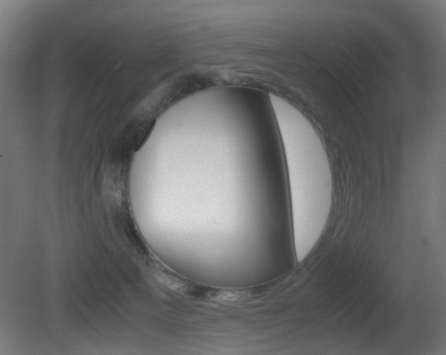 X0000081390129200701111217