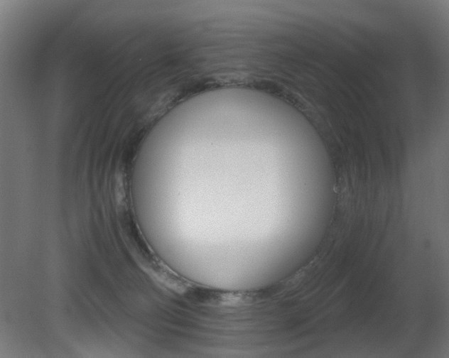 X0000081390130200701111217