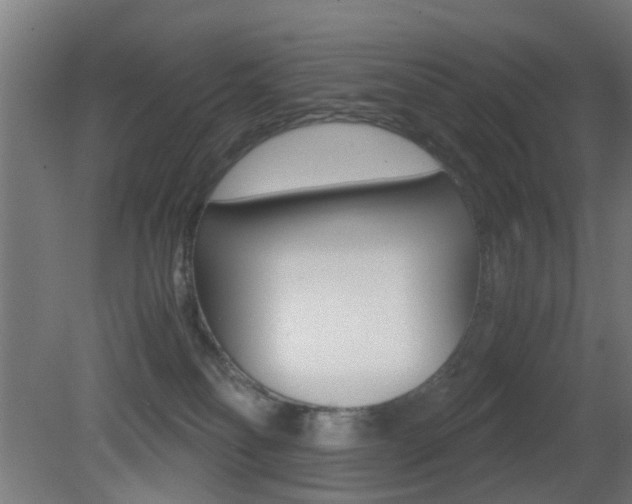 X0000081390134200701111217