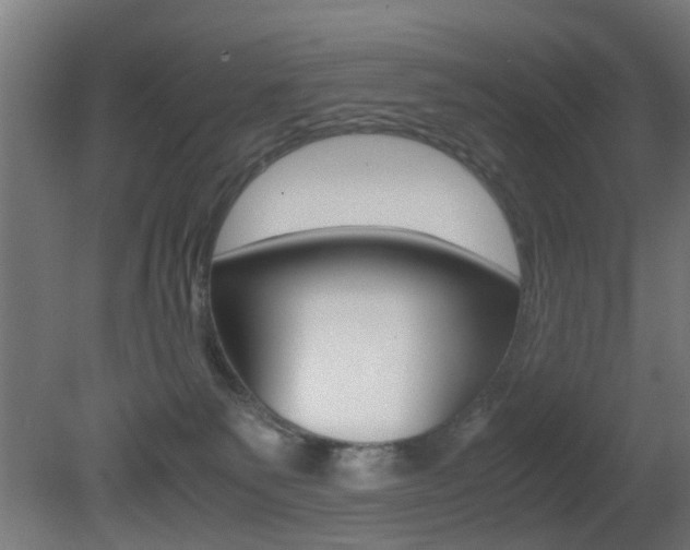 X0000081390135200701111217