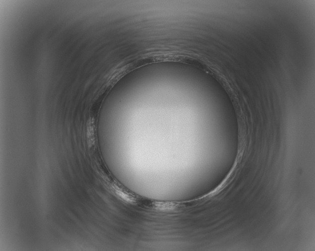X0000081390144200701111216
