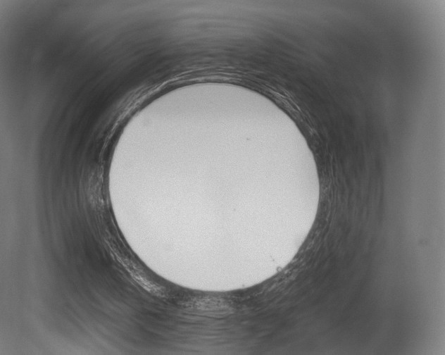 X0000081390146200701111216