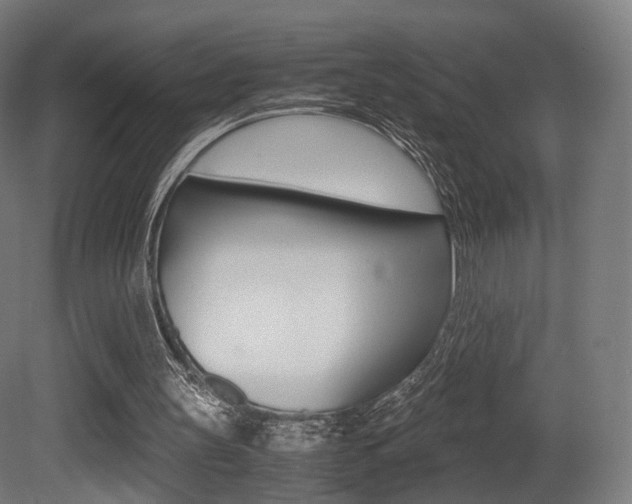 X0000081390147200701111216