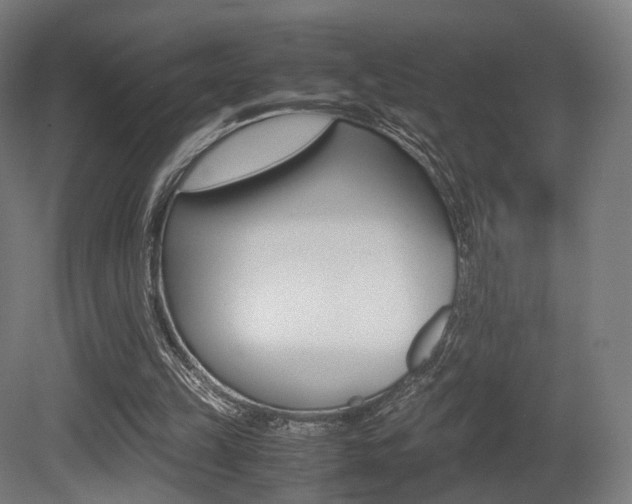 X0000081390149200701111216