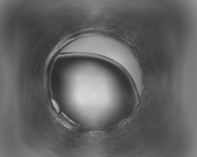 X0000081390150200701111216
