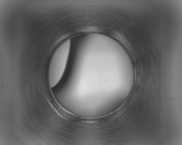 X0000081390157200701111216