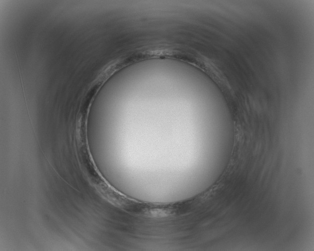 X0000081390163200701111216
