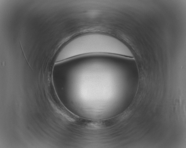 X0000081390164200701111216