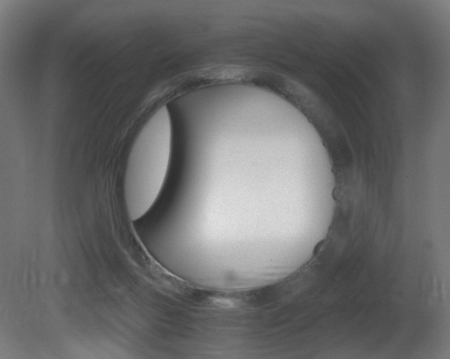 X0000081390167200701111216
