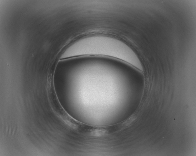 X0000081390168200701111216