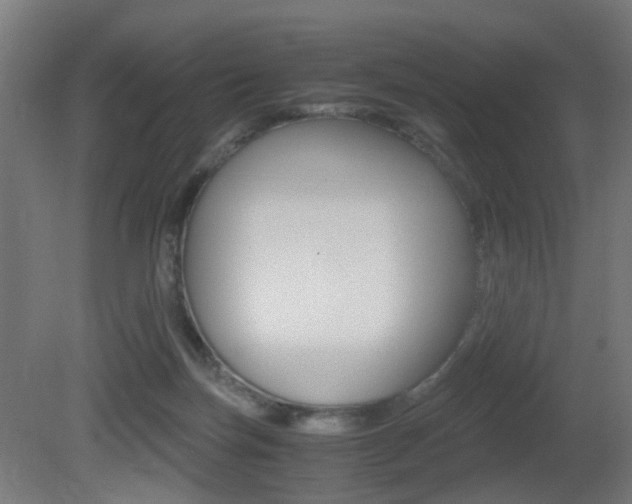 X0000081390171200701111216