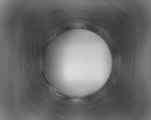 X0000081390177200701111216