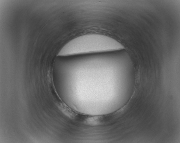 X0000081390178200701111216