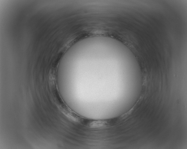 X0000081390179200701111216