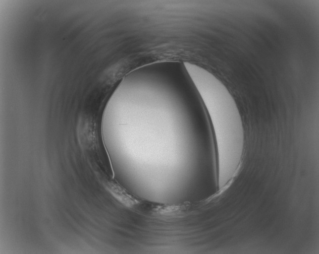 X0000081390186200701111216