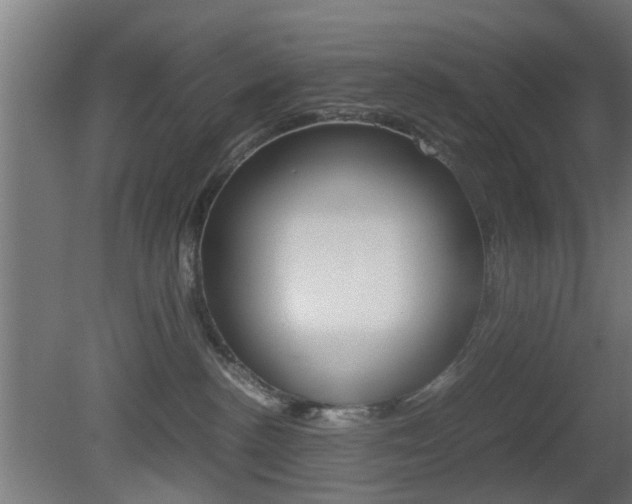 X0000081390188200701111216
