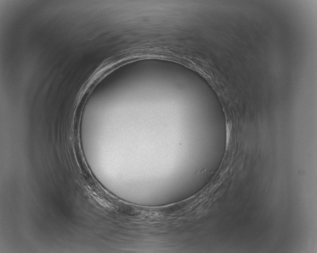 X0000081390195200701111216