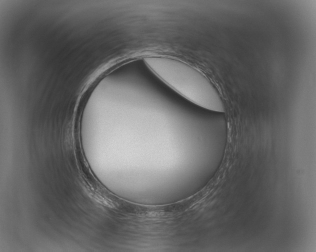 X0000081390196200701111215