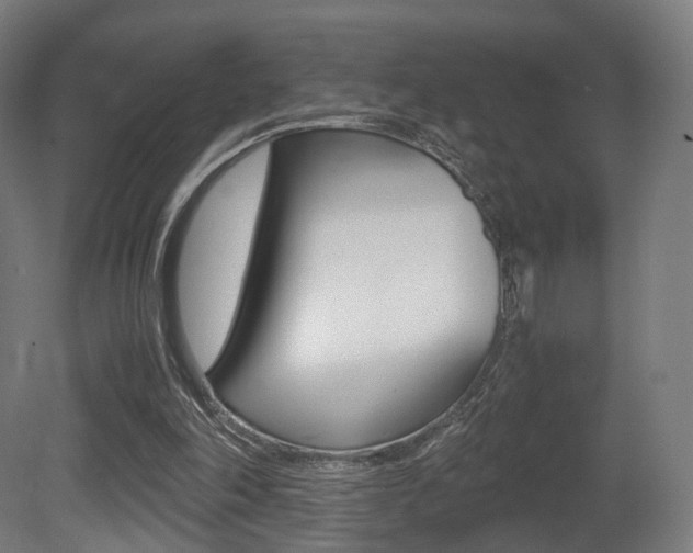 X0000081390198200701111215