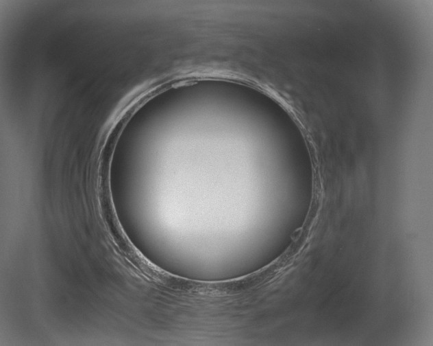 X0000081390199200701111215