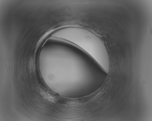 X0000081390200200701111215