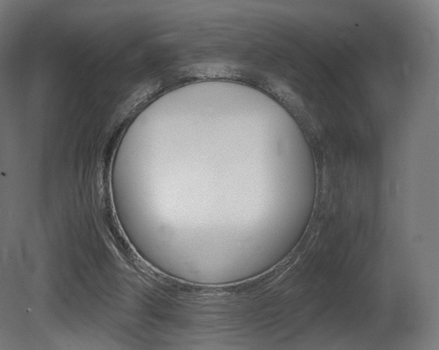 X0000081390202200701111215
