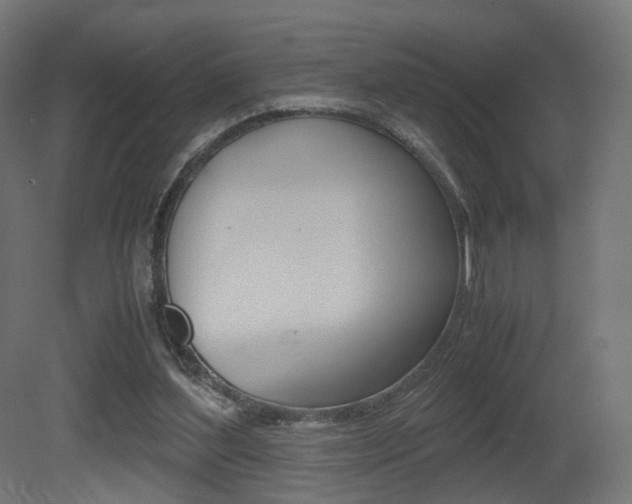 X0000081390204200701111215