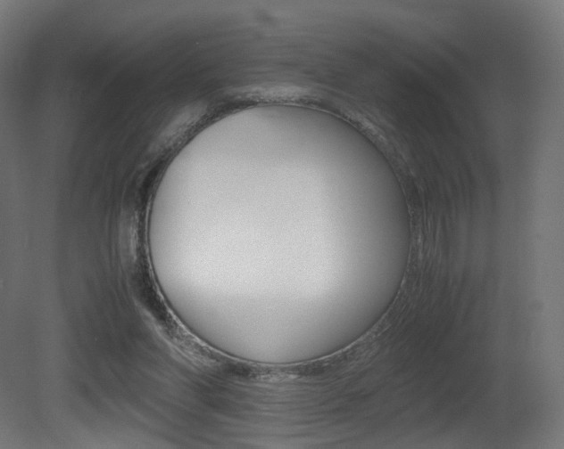 X0000081390206200701111215