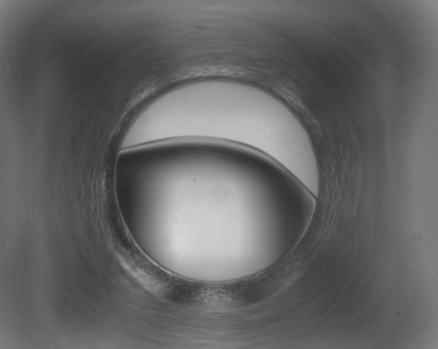 X0000081390207200701111215