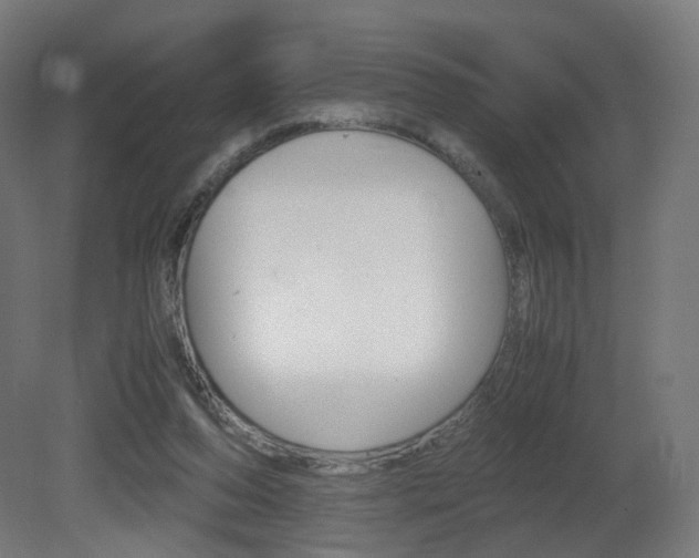 X0000081390208200701111215