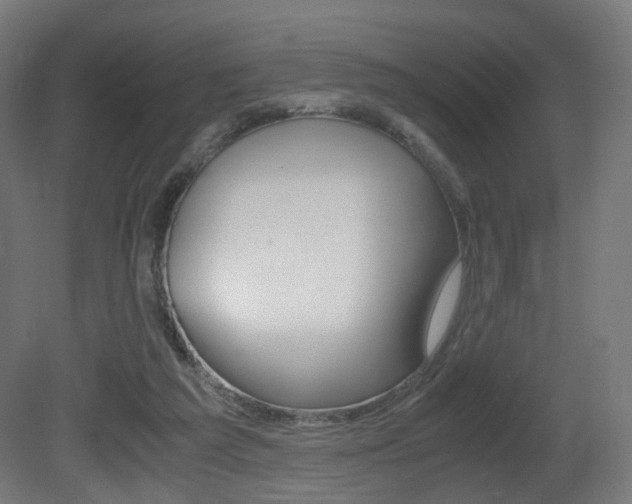 X0000081390209200701111215