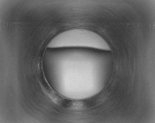 X0000081390214200701111215