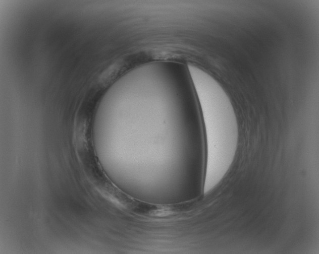 X0000081390219200701111215