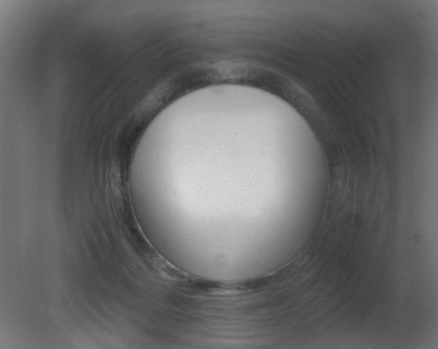 X0000081390220200701111215