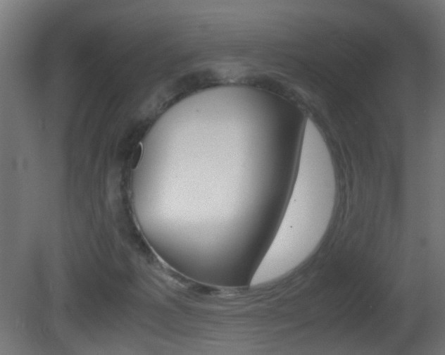 X0000081390221200701111215