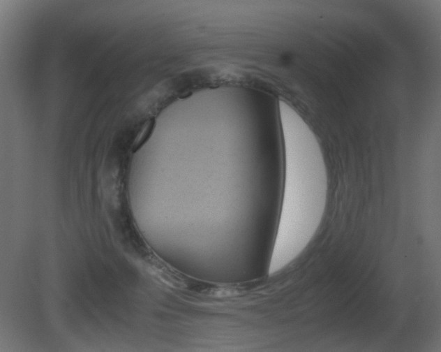 X0000081390223200701111215