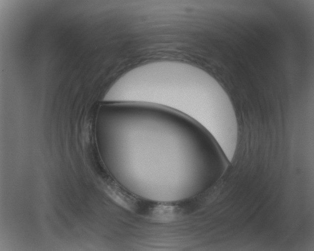 X0000081390227200701111215