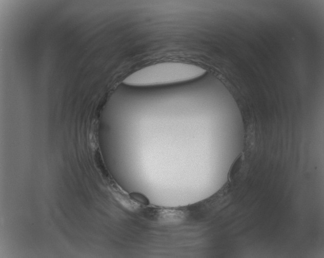 X0000081390234200701111215