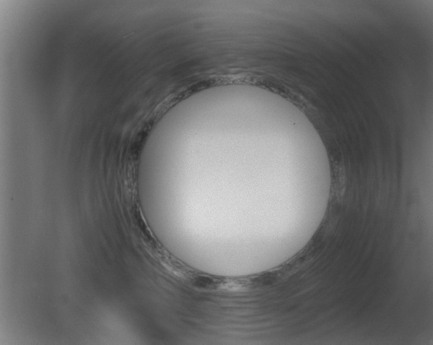 X0000081390236200701111215