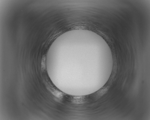 X0000081390240200701111215