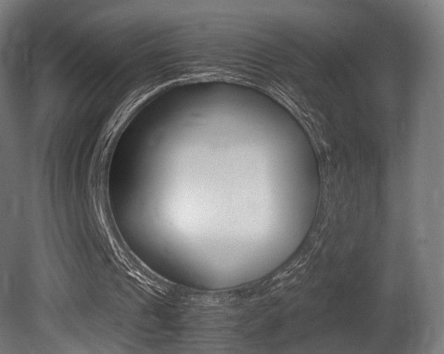 X0000081390241200701111214