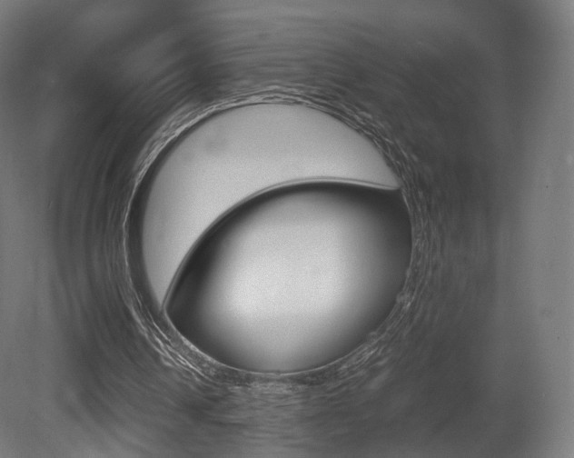 X0000081390242200701111214