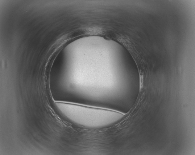 X0000081390243200701111214