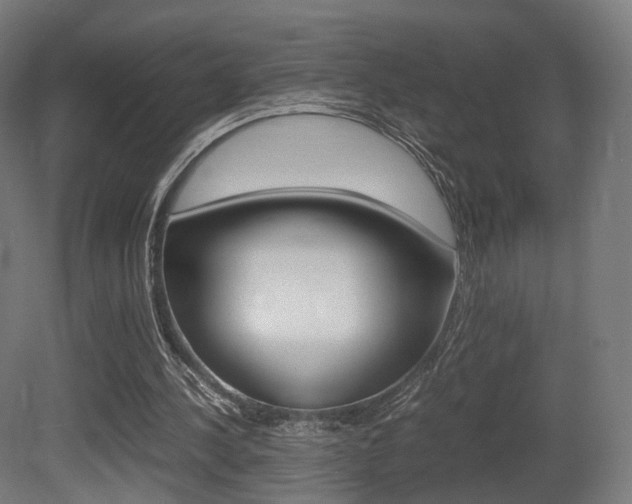 X0000081390244200701111214