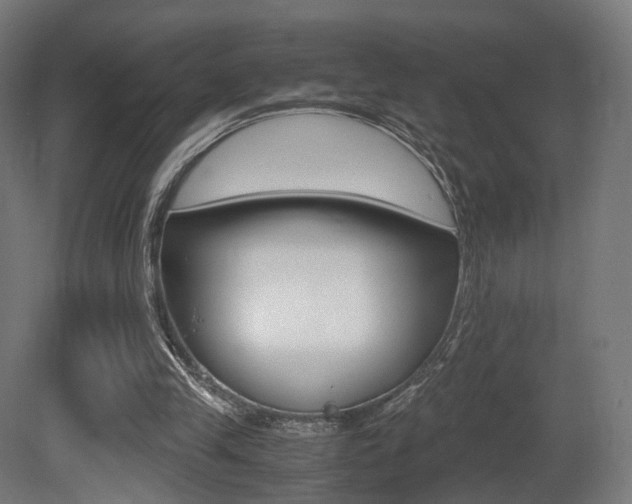 X0000081390245200701111214